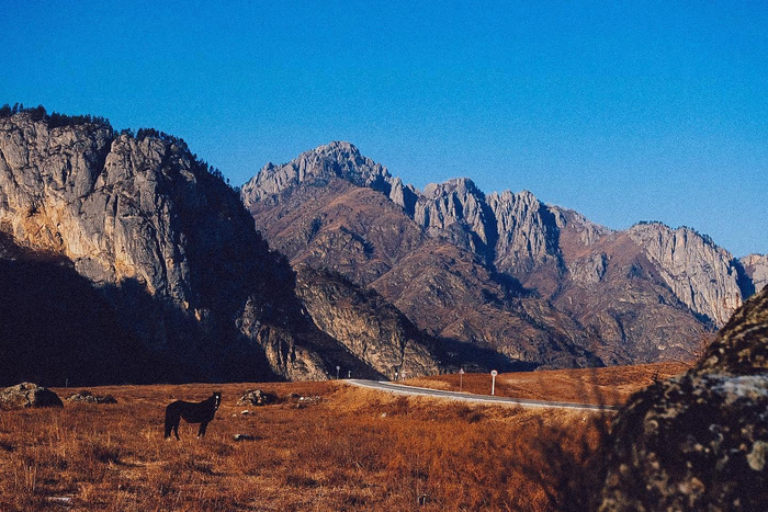 что делать зимой в горном алтае. Смотреть фото что делать зимой в горном алтае. Смотреть картинку что делать зимой в горном алтае. Картинка про что делать зимой в горном алтае. Фото что делать зимой в горном алтае