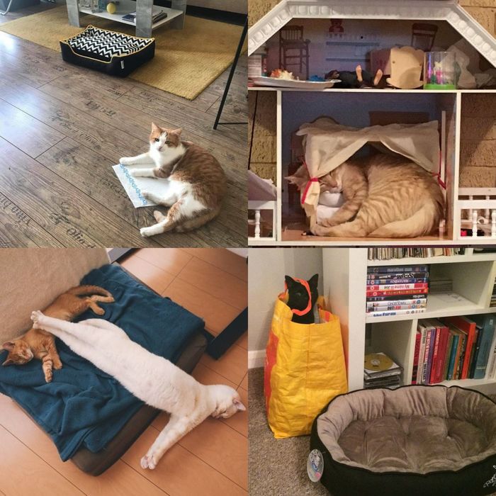 Главное, что им удобно)