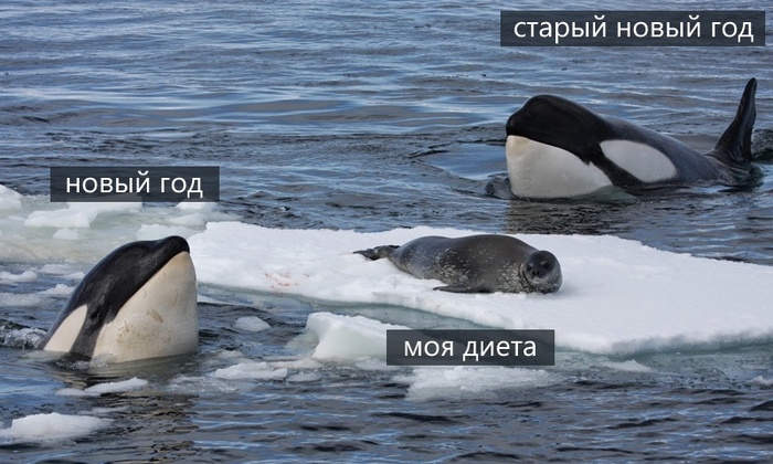 Ох уж эти праздники