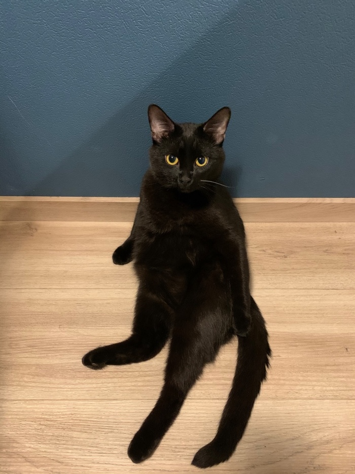 ����� ������� ����, ����� �� �����