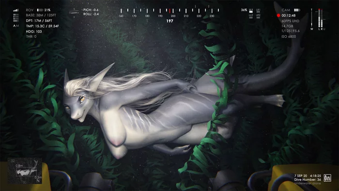 The mystery of underwater forest - NSFW, Furry, Furry art, Furry aquatic, Furry shark, Furotica, Under the water, Oini