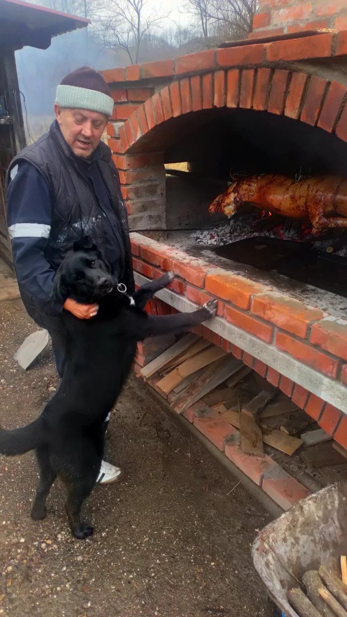 Dad and dog - Father, Presents, Dog