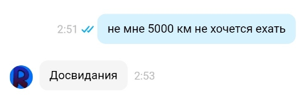 На что он надеялся? - Моё, Авито, Длиннопост, Покупатель, Диалог, Доставка