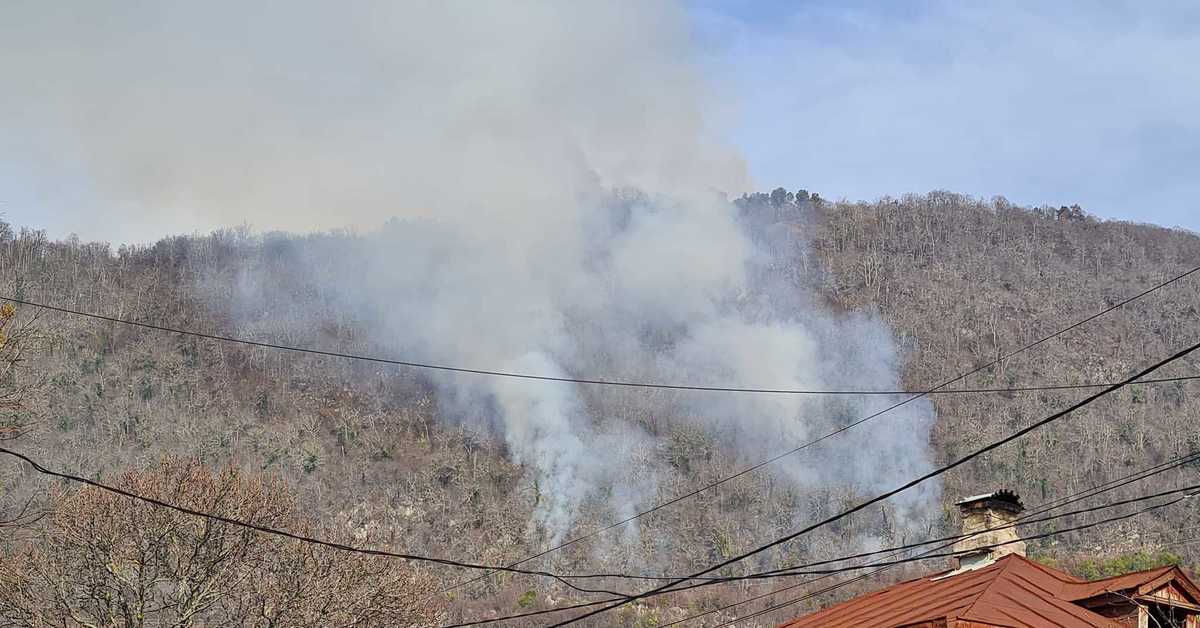 Пожарная часть гагры. Пожар в гаграх. В абхазии сгорела картинная. Пожар в гагре 9. В абхазии сгорела картинная.