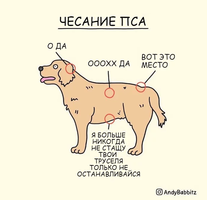 Doggy petting - Comics, Translation, Dog, Weasel, Petting, Scratching, Humor