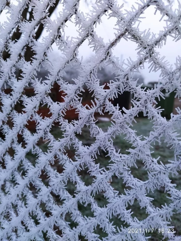 Grid in the cold - Net, Netting, freezing, The photo, Frost