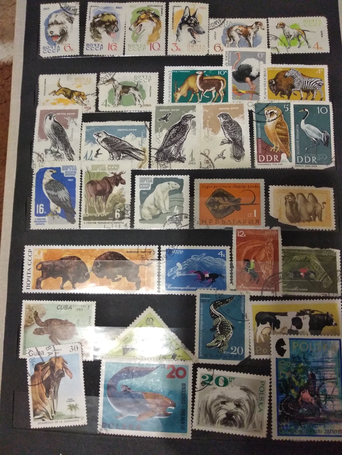 Коллекция в наследство Коллекционирование, Почтовые марки, Длиннопост, Филателия