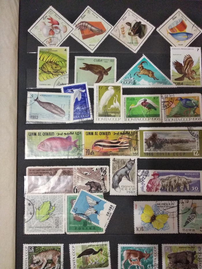 Коллекция в наследство Коллекционирование, Почтовые марки, Длиннопост, Филателия