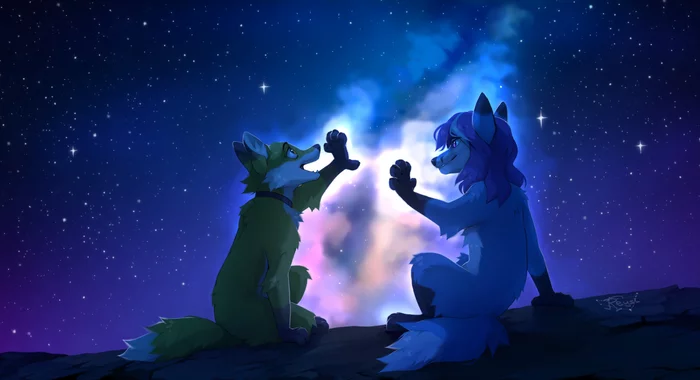 beautiful star - Reysi, Furry, Art, Night, Stars, Furry feral, Furry fox, Furry canine