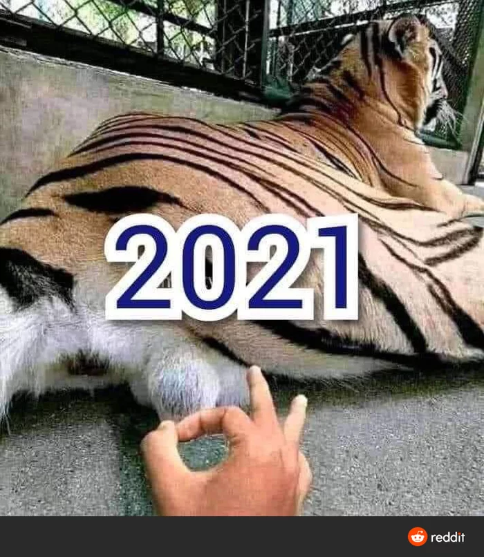 Ready? - 2021, Tiger, Reddit, Kick in the balls, Humor, Bad year, Readiness