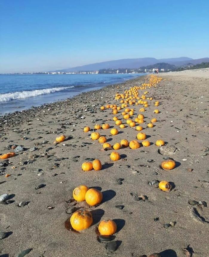 Tangerines on the sand (I hum like apples in the snow)... - Abkhazia, Tangerines, Vitamins, Sand, Sea, Beach