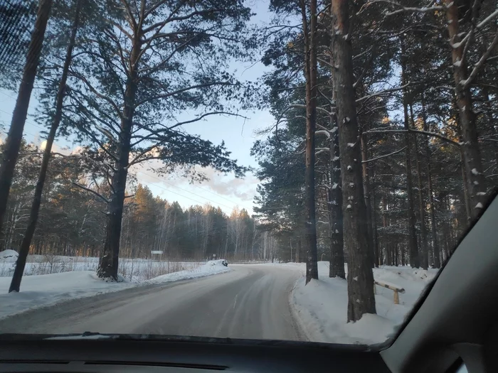 It's nice in the forest, but it's cold... - My, Forest, Cold, Tyumen, Longpost
