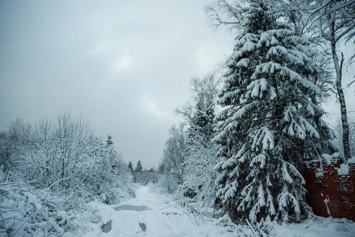 Winter has come and covered cities, forests and villages - My, Abandoned, Winter, Stalker, Moscow region, Longpost