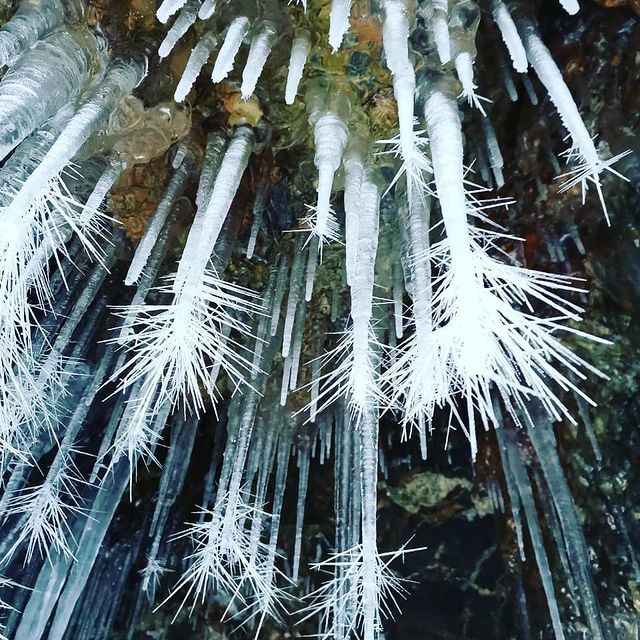 Unusual stalactites, similar to the branches of coniferous trees - Nature, Icicles, Winter, Cold, Grotto, Island, Caves, Baikal