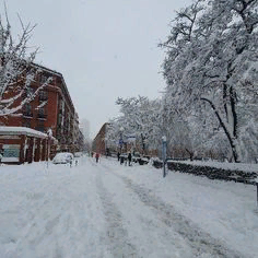 Madrid is paralyzed by the snowfall of the century. Flights and football matches are canceled, people move to dog sleds - news, Madrid, Snowfall, Longpost