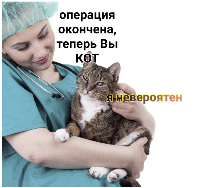 �������� ���� � �������, ����������