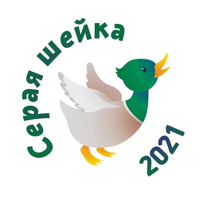 Remembering the Gray Neck 2020 - My, January, Birds, Mallard duck, Waterfowl, gray neck, Winter, 2021, Longpost