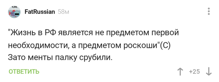 Жизнь в РФ - Комментарии, Комментарии на Пикабу, Россия, Полиция