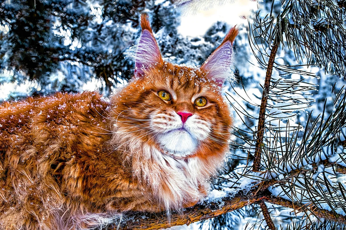 что такое рагамаффин в песне. Смотреть фото что такое рагамаффин в песне. Смотреть картинку что такое рагамаффин в песне. Картинка про что такое рагамаффин в песне. Фото что такое рагамаффин в песне