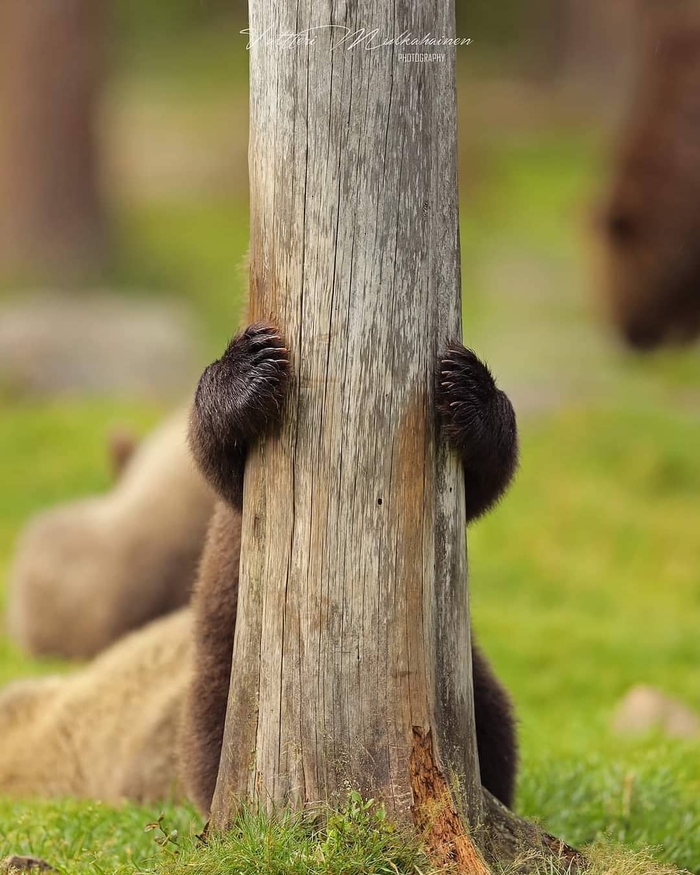 Я иду искать