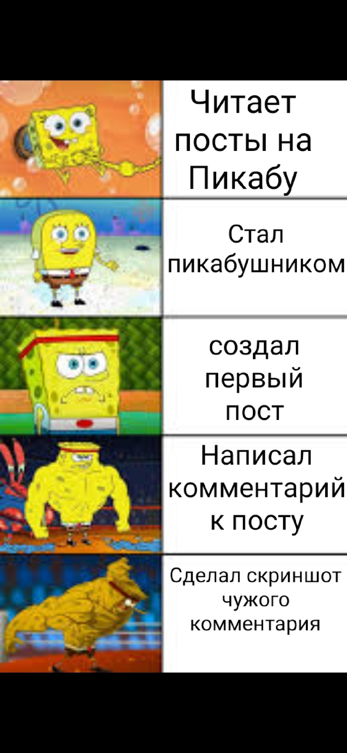 ���� �����������