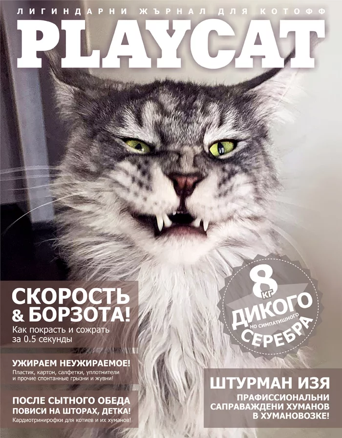 Magazine for catoff - My, cat, Cover, Magazine, Humor