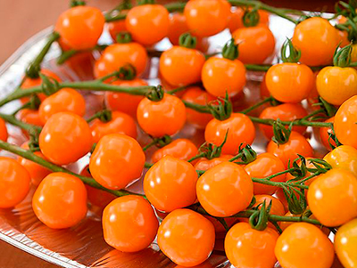 ΠΏΠΎΠΌΠΈΠ΄ΠΎΡΡ ΠΌΠ°ΡΠ³Π°ΡΠΈΡΠ° Π±Π»ΡΠ· ΠΎΠΏΠΈΡΠ°Π½ΠΈΠ΅. Π‘ΠΌΠΎΡΡΠ΅ΡΡ ΡΠΎΡΠΎ ΠΏΠΎΠΌΠΈΠ΄ΠΎΡΡ ΠΌΠ°ΡΠ³Π°ΡΠΈΡΠ° Π±Π»ΡΠ· ΠΎΠΏΠΈΡΠ°Π½ΠΈΠ΅. Π‘ΠΌΠΎΡΡΠ΅ΡΡ ΠΊΠ°ΡΡΠΈΠ½ΠΊΡ ΠΏΠΎΠΌΠΈΠ΄ΠΎΡΡ ΠΌΠ°ΡΠ³Π°ΡΠΈΡΠ° Π±Π»ΡΠ· ΠΎΠΏΠΈΡΠ°Π½ΠΈΠ΅. ΠΠ°ΡΡΠΈΠ½ΠΊΠ° ΠΏΡΠΎ ΠΏΠΎΠΌΠΈΠ΄ΠΎΡΡ ΠΌΠ°ΡΠ³Π°ΡΠΈΡΠ° Π±Π»ΡΠ· ΠΎΠΏΠΈΡΠ°Π½ΠΈΠ΅. Π€ΠΎΡΠΎ ΠΏΠΎΠΌΠΈΠ΄ΠΎΡΡ ΠΌΠ°ΡΠ³Π°ΡΠΈΡΠ° Π±Π»ΡΠ· ΠΎΠΏΠΈΡΠ°Π½ΠΈΠ΅ ΠΏΠΎΠΌΠΈΠ΄ΠΎΡΡ ΠΌΠ°ΡΠ³Π°ΡΠΈΡΠ° Π±Π»ΡΠ· ΠΎΠΏΠΈΡΠ°Π½ΠΈΠ΅. Π‘ΠΌΠΎΡΡΠ΅ΡΡ ΡΠΎΡΠΎ ΠΏΠΎΠΌΠΈΠ΄ΠΎΡΡ ΠΌΠ°ΡΠ³Π°ΡΠΈΡΠ° Π±Π»ΡΠ· ΠΎΠΏΠΈΡΠ°Π½ΠΈΠ΅. Π‘ΠΌΠΎΡΡΠ΅ΡΡ ΠΊΠ°ΡΡΠΈΠ½ΠΊΡ ΠΏΠΎΠΌΠΈΠ΄ΠΎΡΡ ΠΌΠ°ΡΠ³Π°ΡΠΈΡΠ° Π±Π»ΡΠ· ΠΎΠΏΠΈΡΠ°Π½ΠΈΠ΅. ΠΠ°ΡΡΠΈΠ½ΠΊΠ° ΠΏΡΠΎ ΠΏΠΎΠΌΠΈΠ΄ΠΎΡΡ ΠΌΠ°ΡΠ³Π°ΡΠΈΡΠ° Π±Π»ΡΠ· ΠΎΠΏΠΈΡΠ°Π½ΠΈΠ΅. Π€ΠΎΡΠΎ ΠΏΠΎΠΌΠΈΠ΄ΠΎΡΡ ΠΌΠ°ΡΠ³Π°ΡΠΈΡΠ° Π±Π»ΡΠ· ΠΎΠΏΠΈΡΠ°Π½ΠΈΠ΅