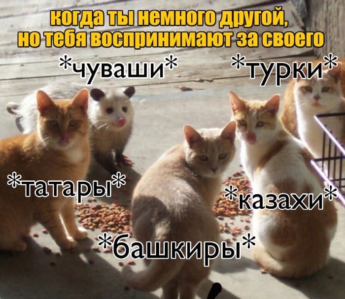 Немного другой