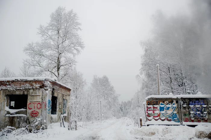 Abandoned military town - My, Abandoned cities, Stalker, Travel across Russia, Video, Longpost