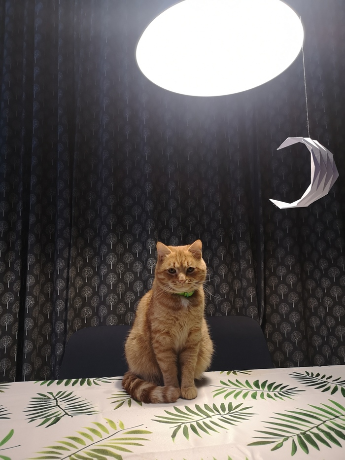 �������� ��������� �������