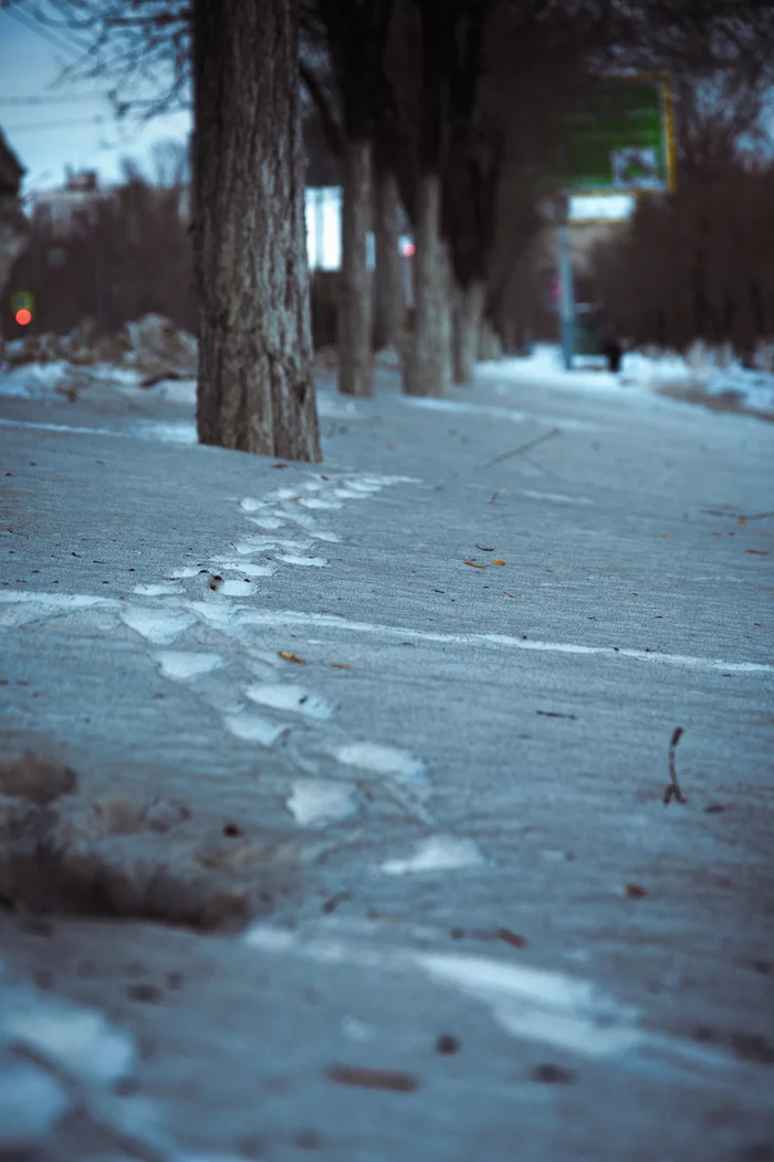 Someone's footprints in the dirty snow - My, The photo, Footprints, Snow, Dirt