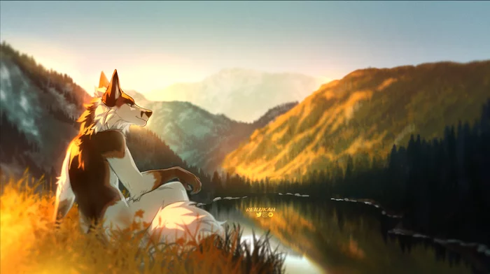 Sunset - Фурри, Furry Art, Furry Fox, Reilukah