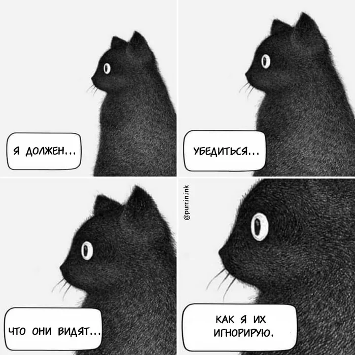 Cat comics by Luis Coelho - Comics, cat, Longpost, Purr in ink