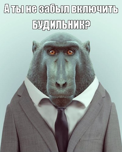 ����� ������ ��� ���������