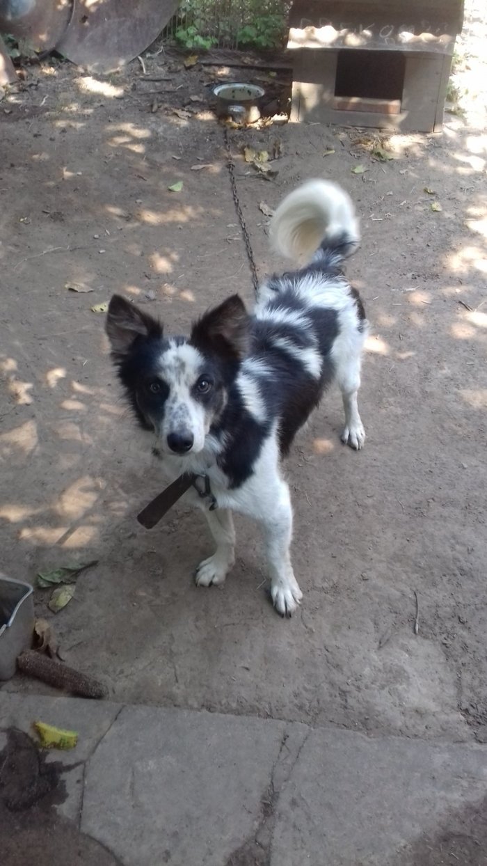 ����� ������