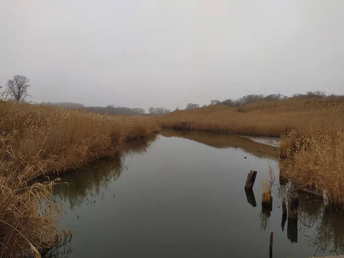 The 2021 open water season has opened - My, Perch, Pike, Volgodonsk, Winter fishing, Fishing, Spinning, Longpost, Sal