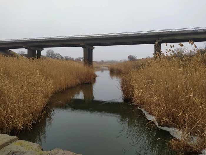 The 2021 open water season has opened - My, Perch, Pike, Volgodonsk, Winter fishing, Fishing, Spinning, Longpost, Sal
