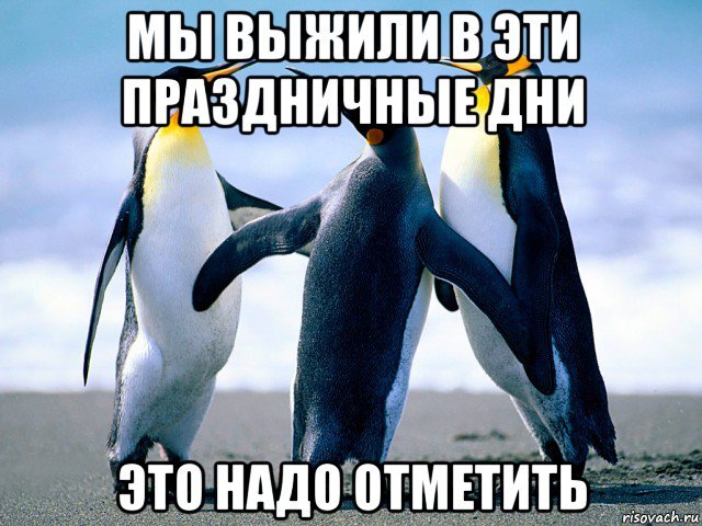 ���� ���������� �������� �����������