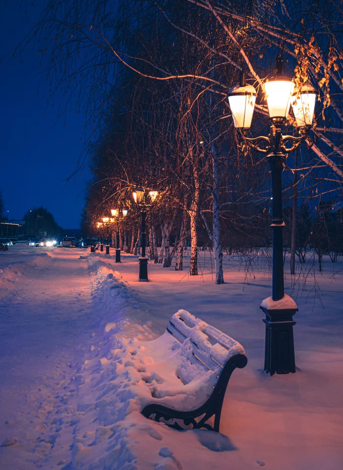 City park, late evening - My, The photo, Lamp, The park, Birch, Night