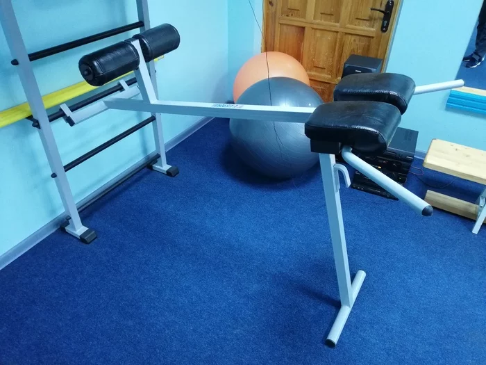 Gym experts, tell me what kind of equipment this is? - My, Sport, Gym, What's this?