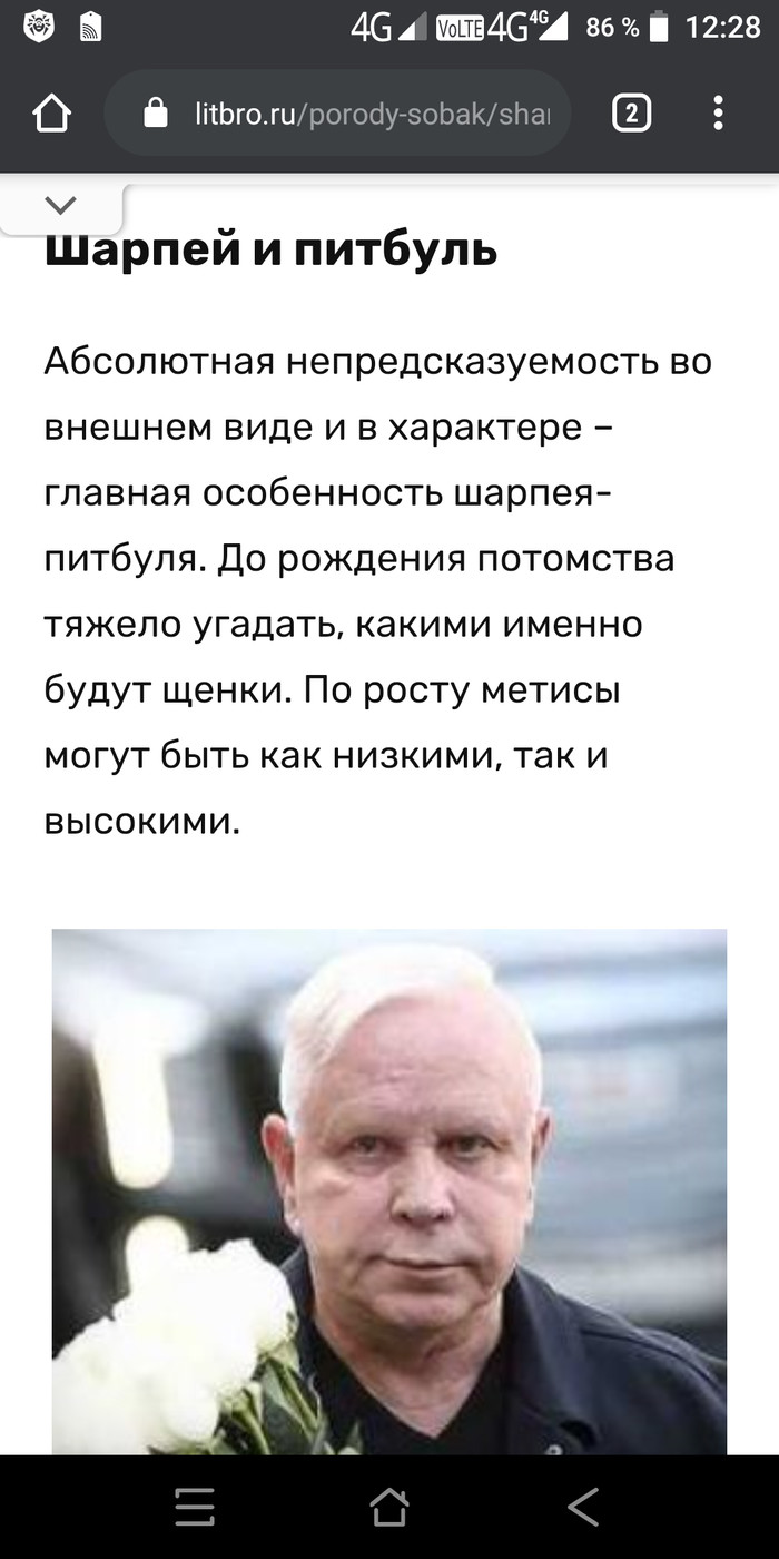 Борис Моисеев: истории из жизни, советы, новости, юмор и картинки — Все  посты, страница 11 | Пикабу