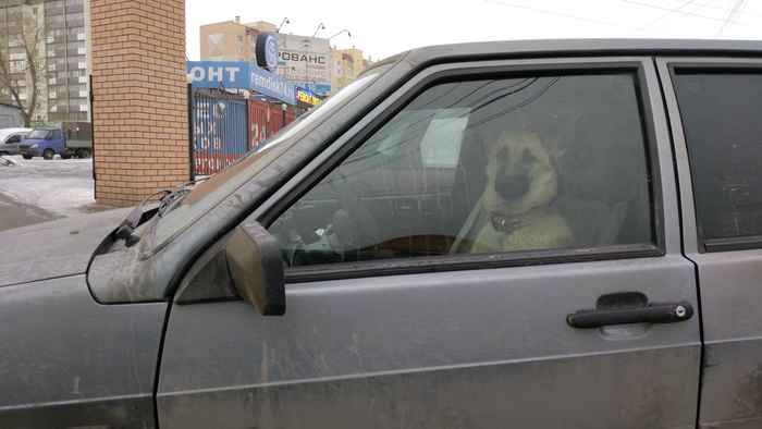 ������� �����