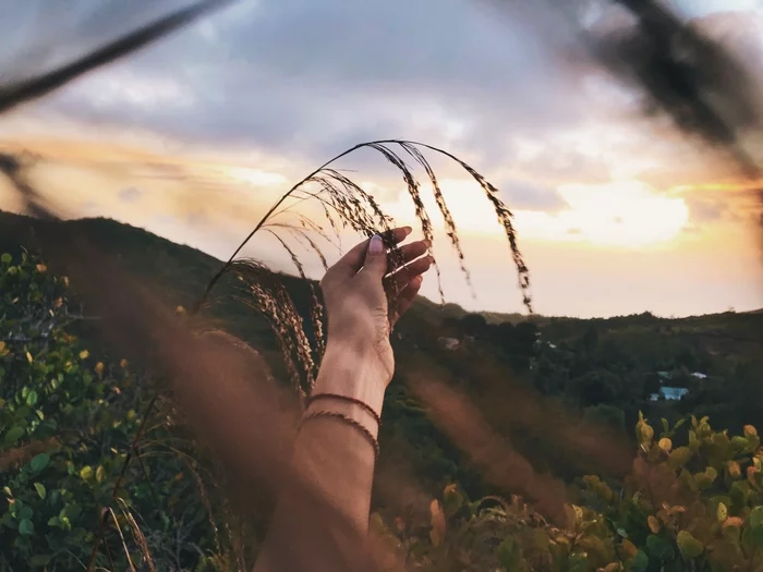 The world is in your hands - My, Seychelles, Screensaver, Wallpaper, The photo, Field, Hand, Sky