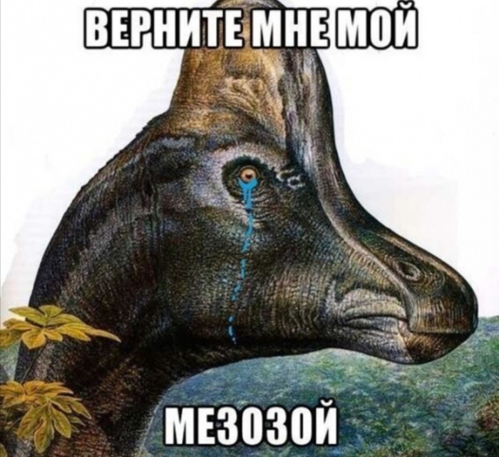   ? , , 