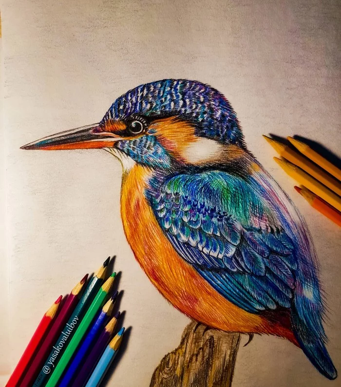 I haven't drawn for 10 years - My, Painting, Watercolor pencils, Birds, Drawing, Creation, Longpost