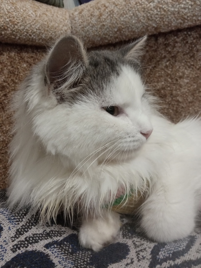 ������ ��� �� ��������