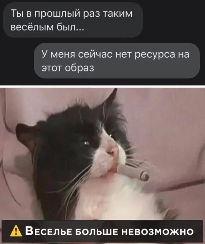 Low battery) - cat, Humor, Pre-holiday mood, Picture with text