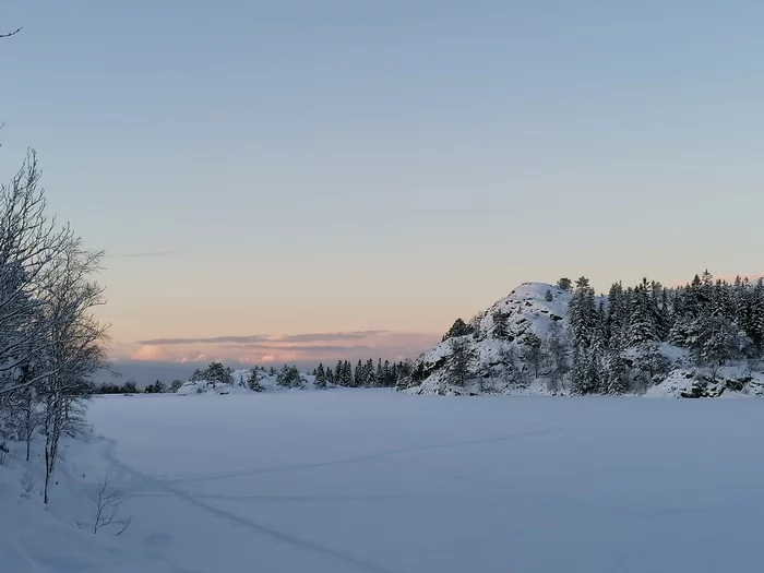 The beauty of the winter forest - Mobile photography, Norway, Longpost