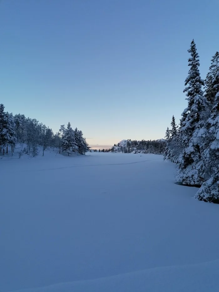 The beauty of the winter forest - Mobile photography, Norway, Longpost