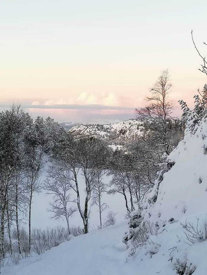 The beauty of the winter forest - Mobile photography, Norway, Longpost